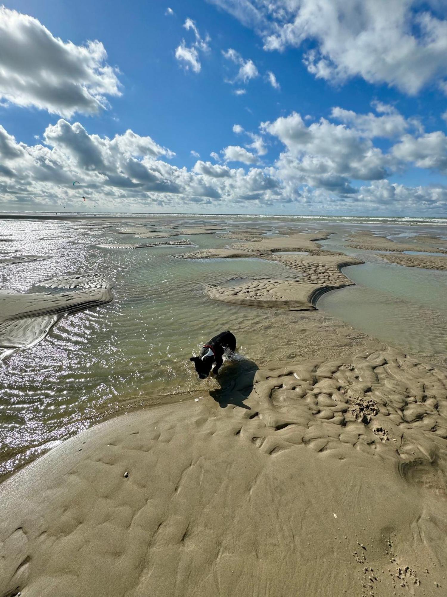 Le Paillette T2 400 M De La Plage Berck Екстер'єр фото