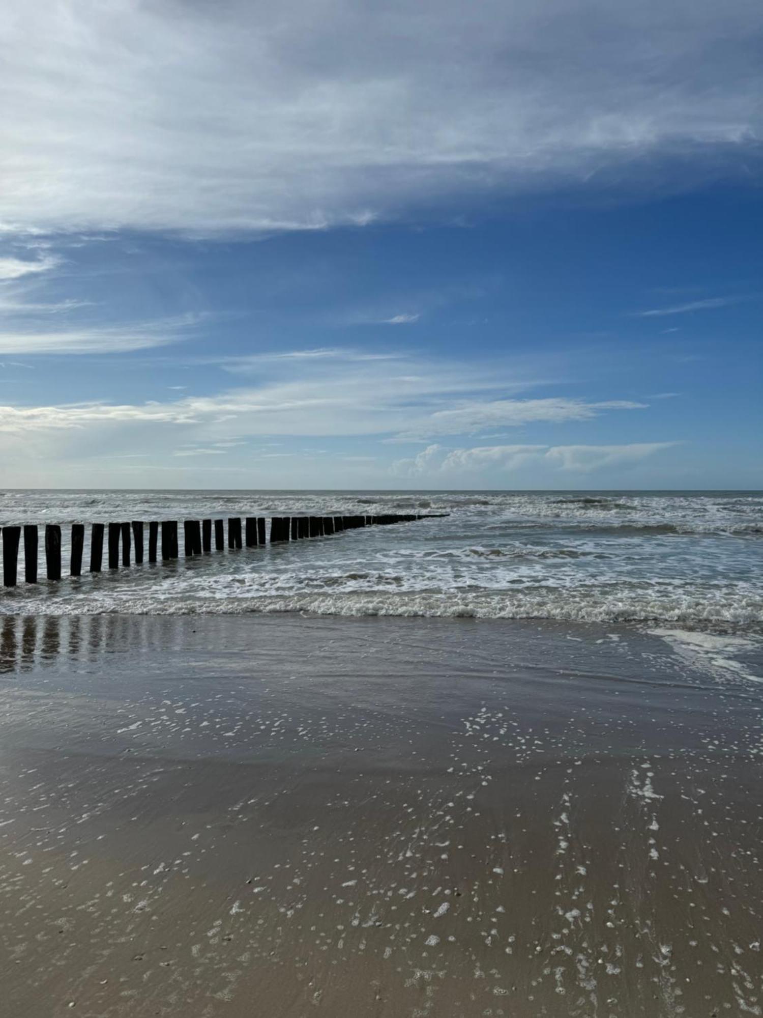 Le Paillette T2 400 M De La Plage Berck Екстер'єр фото