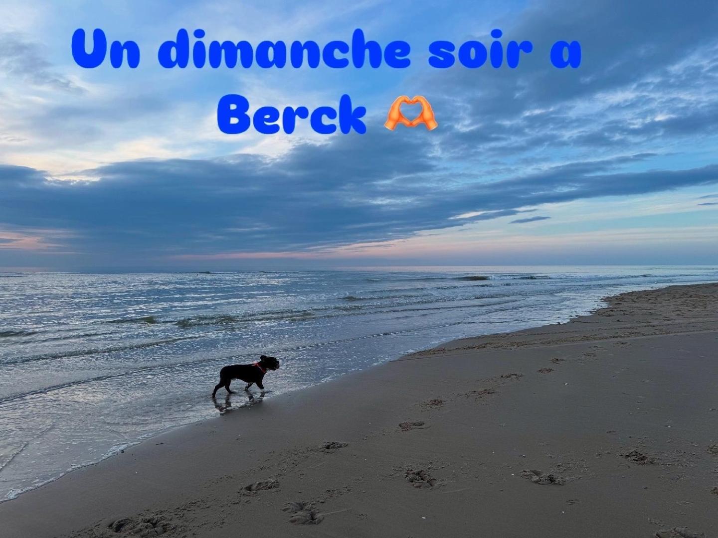 Le Paillette T2 400 M De La Plage Berck Екстер'єр фото